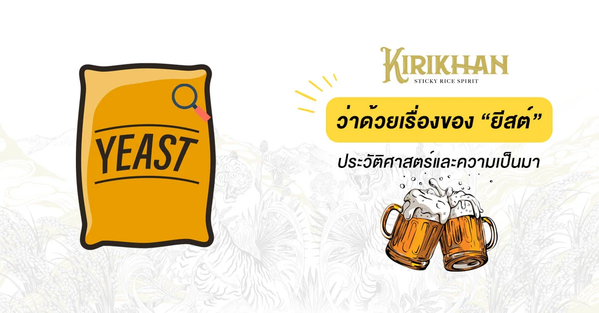 ว่าด้วยเรื่อง “ยีสต์และบทบาทสำคัญของการหมัก”